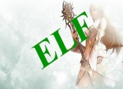 lineage2-elf2.jpg